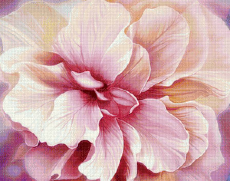 №1208494 - предпросмотр