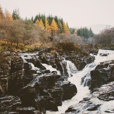 Схема вышивки «Осень»