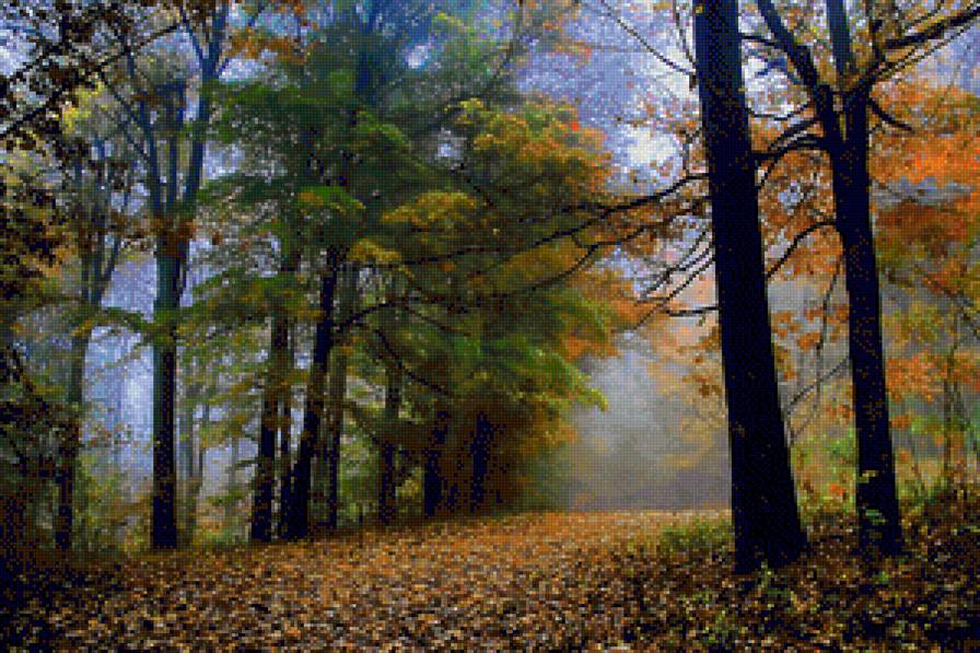 осень - природа, пейзаж, осень - предпросмотр