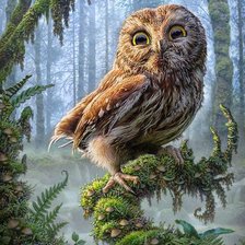 Схема вышивки «сова»