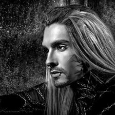 Схема вышивки «красавец»