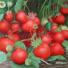 Схема вышивки «Клубника»