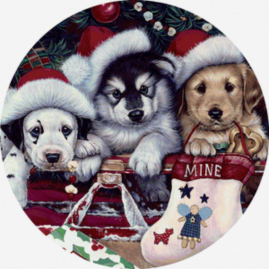 Щенки - животные, пес, собака - предпросмотр