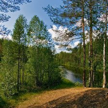 Схема вышивки «лесная красота»