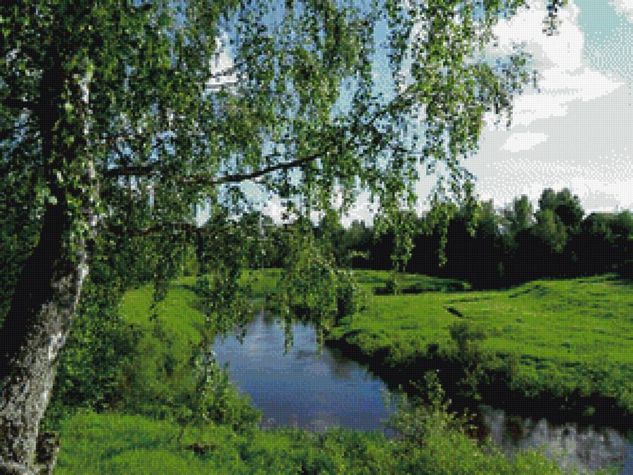 Березка у реки - лето, береза, берег, река - предпросмотр