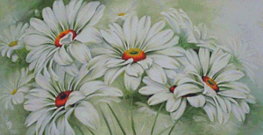 белые герберы - герберы, гербера, ромашка, белые цветы, ромашки - предпросмотр