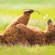 Схема вышивки «Мишка»