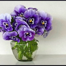 Схема вышивки «НЕЗАБУДКИ»