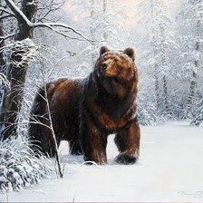 МИШКА ЗИМОЙ