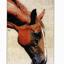 Схема вышивки «лошадь»