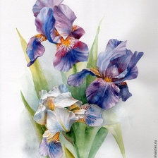 Схема вышивки «букет ирисов»