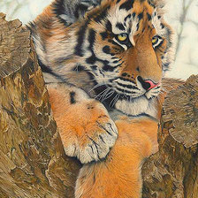 Схема вышивки «144»