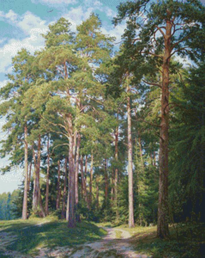 Сосновая роща - лес, природа, пейзаж - предпросмотр