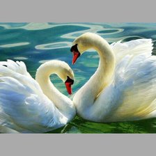 Лебединая верность