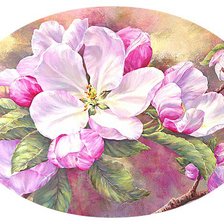 Яблоневый цвет