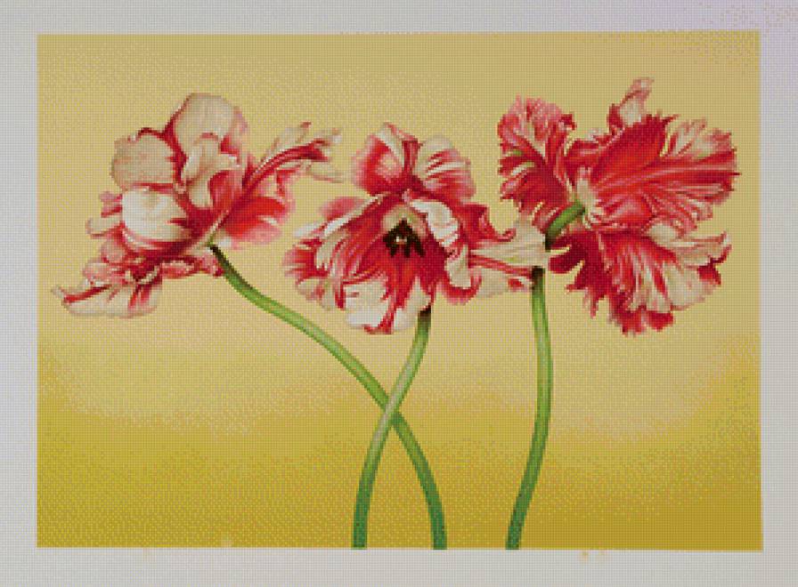 Тюльпановое трио - цветы, живопись, букет, красные цветы, тюльпаны, панель, панно - предпросмотр