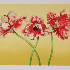 Схема вышивки «Тюльпановое трио»