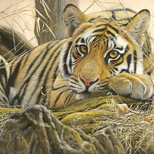 Схема вышивки «145»