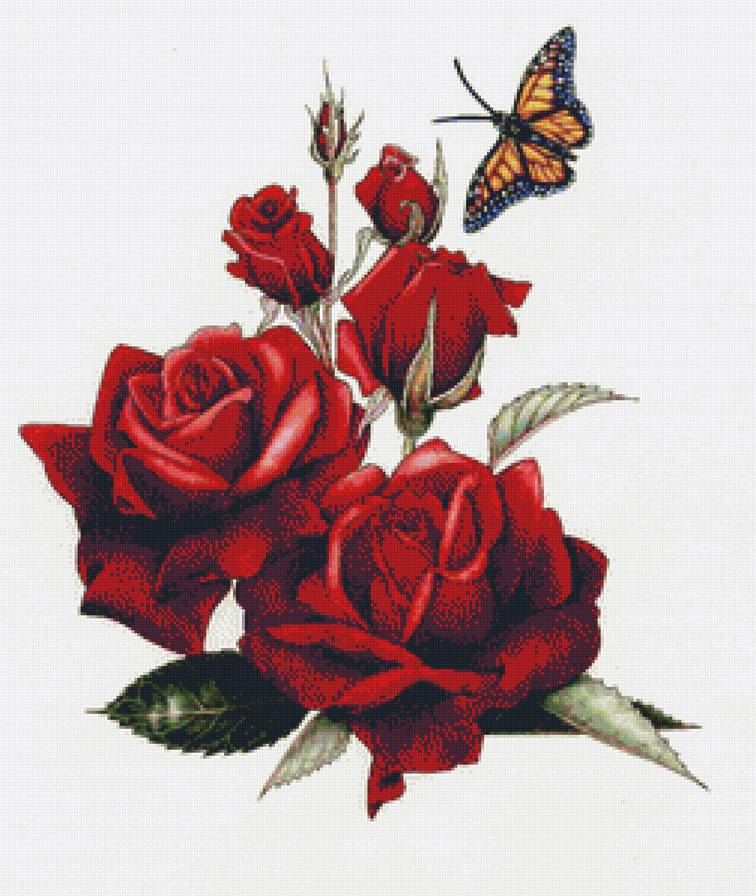 букет - бабочка роза - предпросмотр