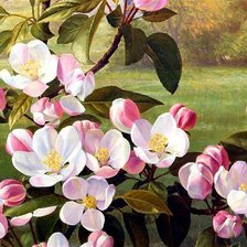 Схема вышивки «№1211915»