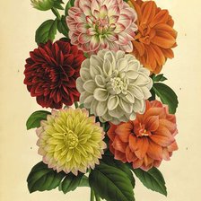 Схема вышивки «№1211942»