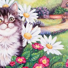 Схема вышивки «кот в ромахах»