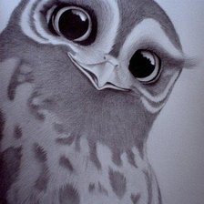 Схема вышивки «совушка»