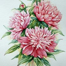 Схема вышивки «пионы»