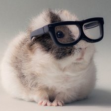 Схема вышивки «животные»