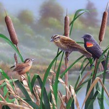 Схема вышивки «№1212522»