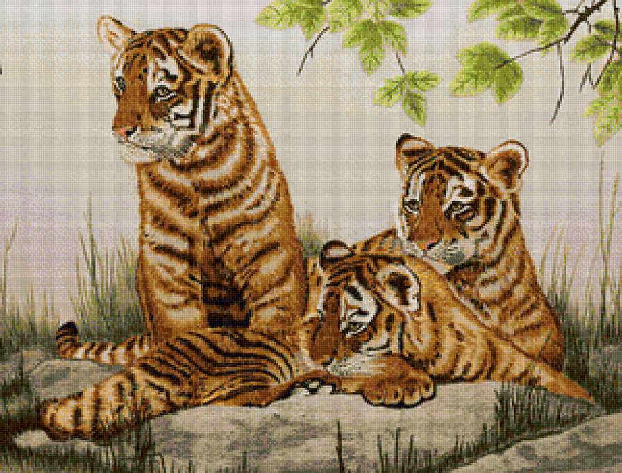 три тигренка - предпросмотр