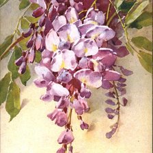 Схема вышивки «глициния акварель»