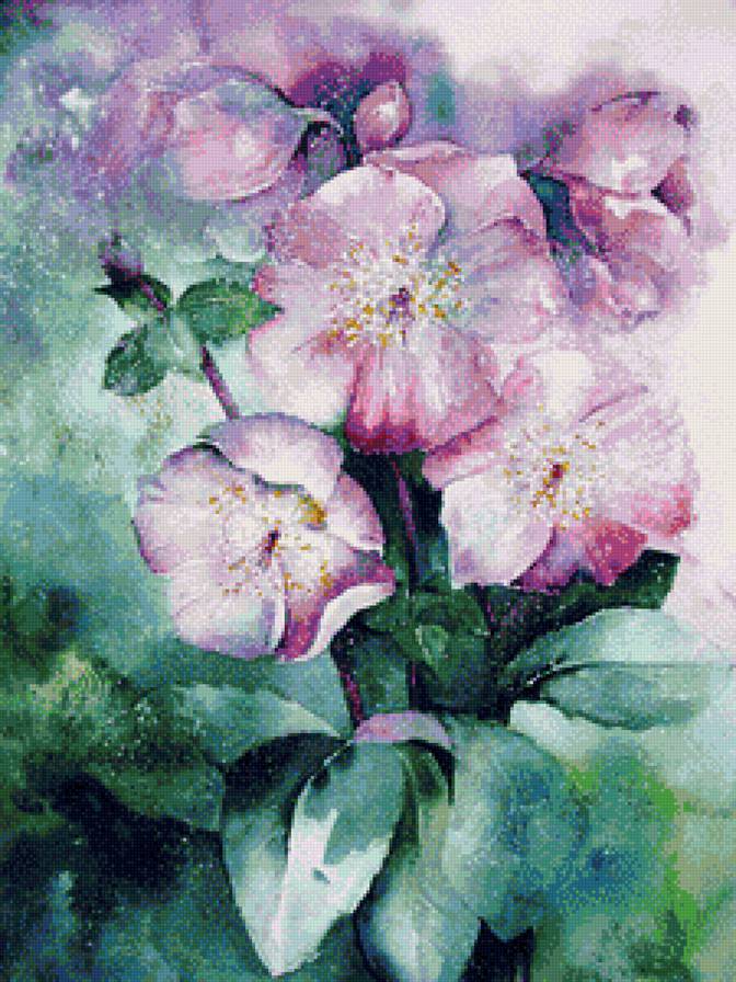 Цветы акварель - предпросмотр