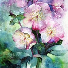 Схема вышивки «Цветы акварель»