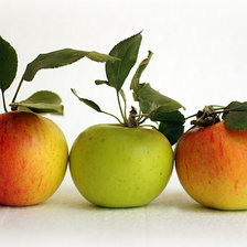 Схема вышивки «натюрморт»