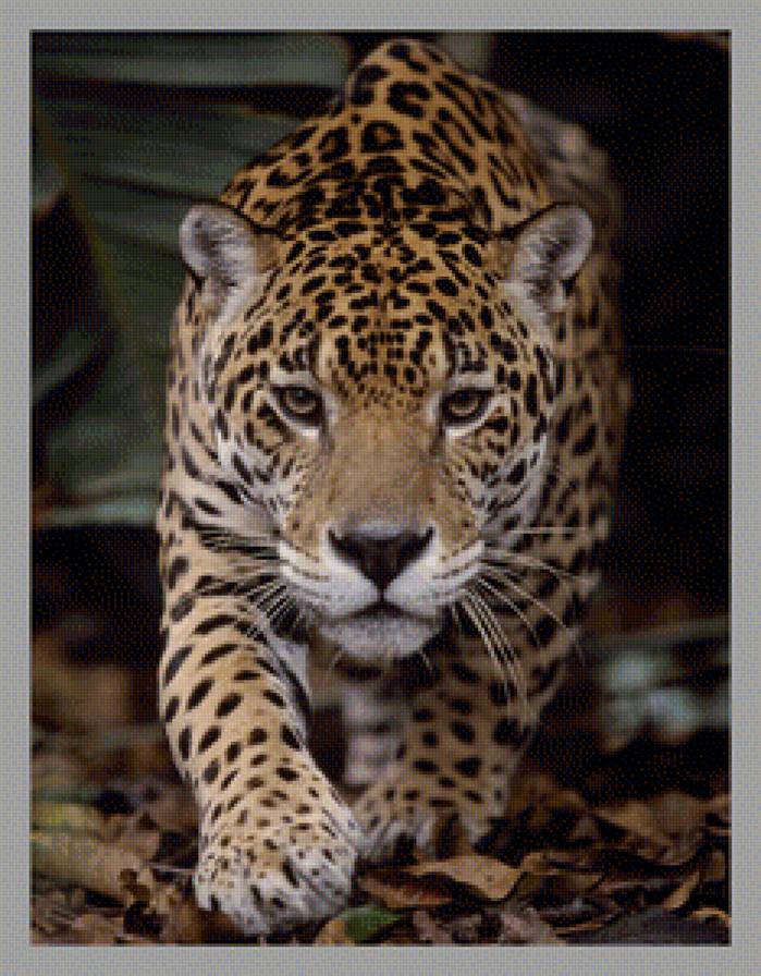 Леопард - вышивка крестом - предпросмотр