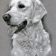 Схема вышивки «№1213544»