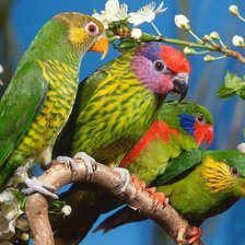 Схема вышивки «№1213969»