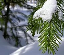 Схема вышивки «зимняя сказка»