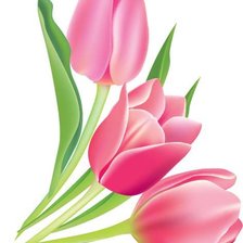 Схема вышивки «Тюльпаны»