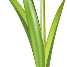 Схема вышивки «№1214584»