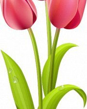 Схема вышивки «№1214586»