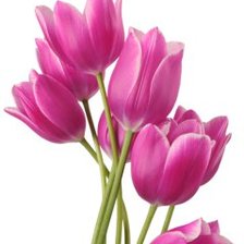 Схема вышивки «№1214587»