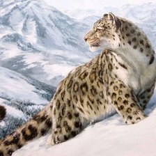 Схема вышивки «барс»