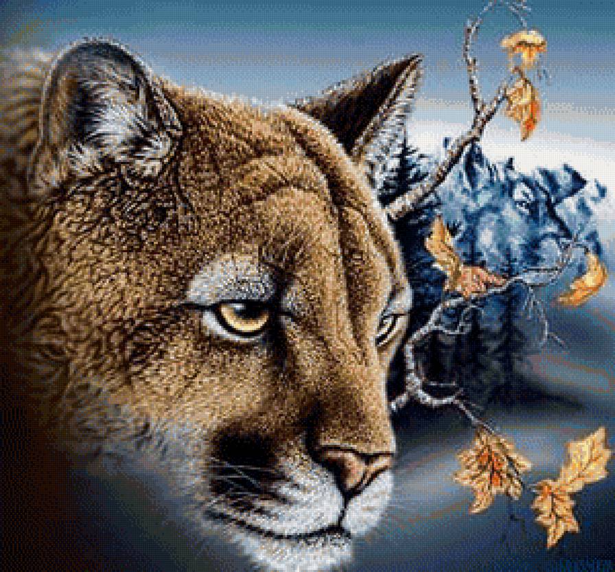 мир животных - предпросмотр