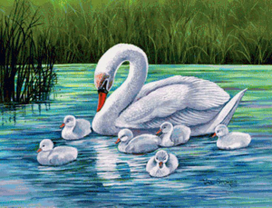 на озере - предпросмотр