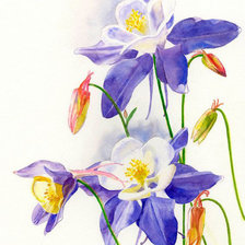 Схема вышивки «Акварельные цветы»