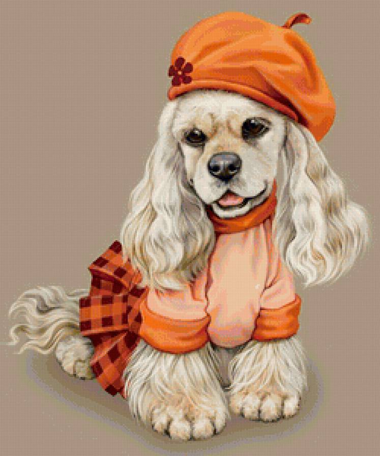 Модница - животные, собаки - предпросмотр