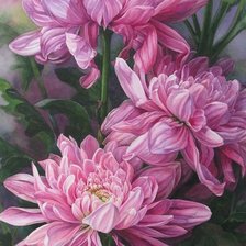 Схема вышивки «хризантемы»