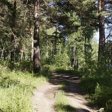 Схема вышивки «Лесная тропа»